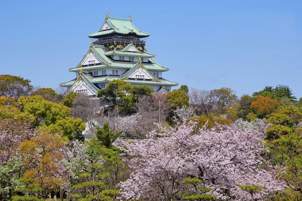 TOP 8 à OSAKA
