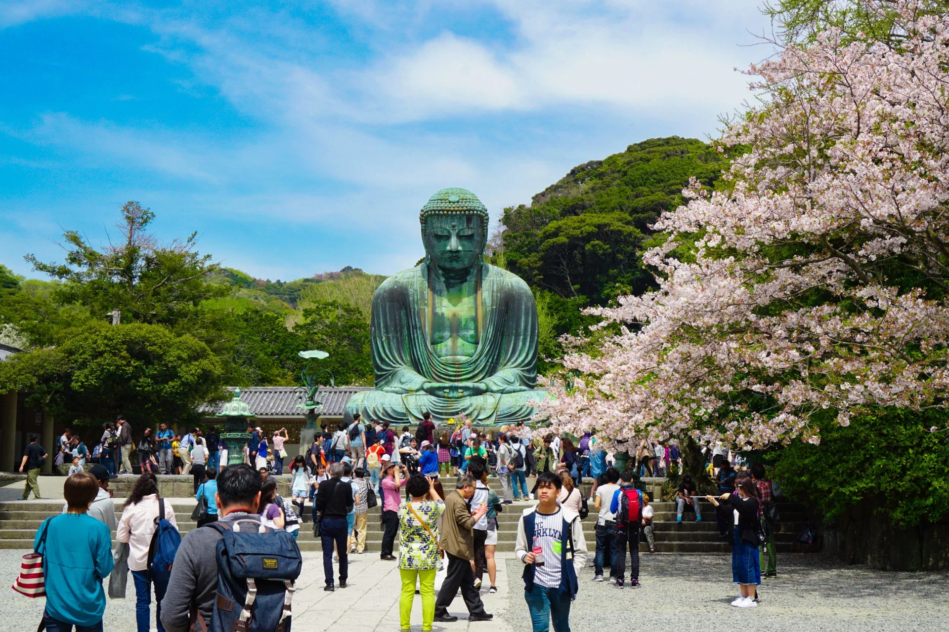 Découvrez l’Enchantement de Kamakura : Un Voyage à travers le Temps et la Tranquillité