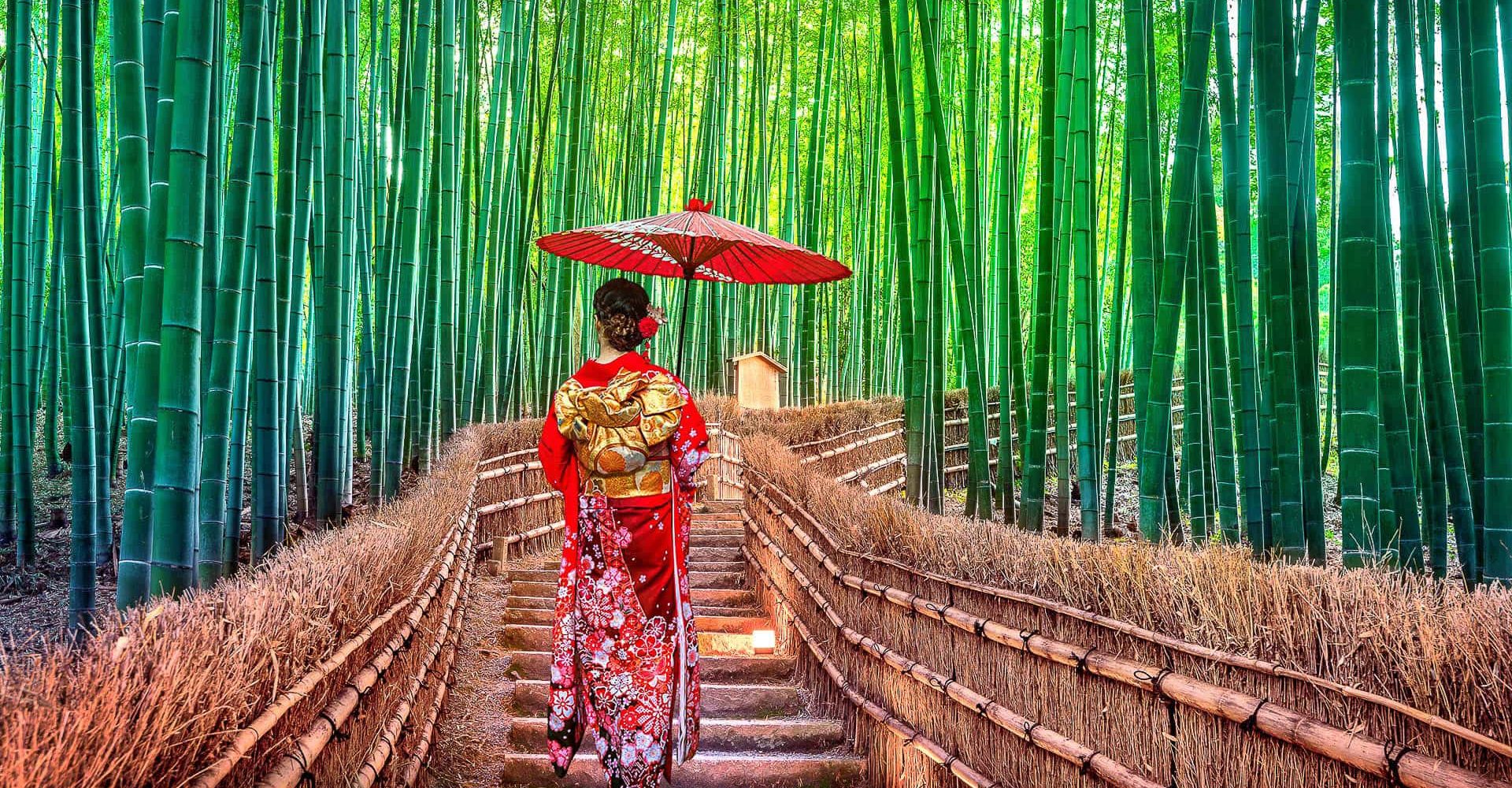 Pourquoi un voyage au Japon est plus difficile à organiser qu’une autre destination ?