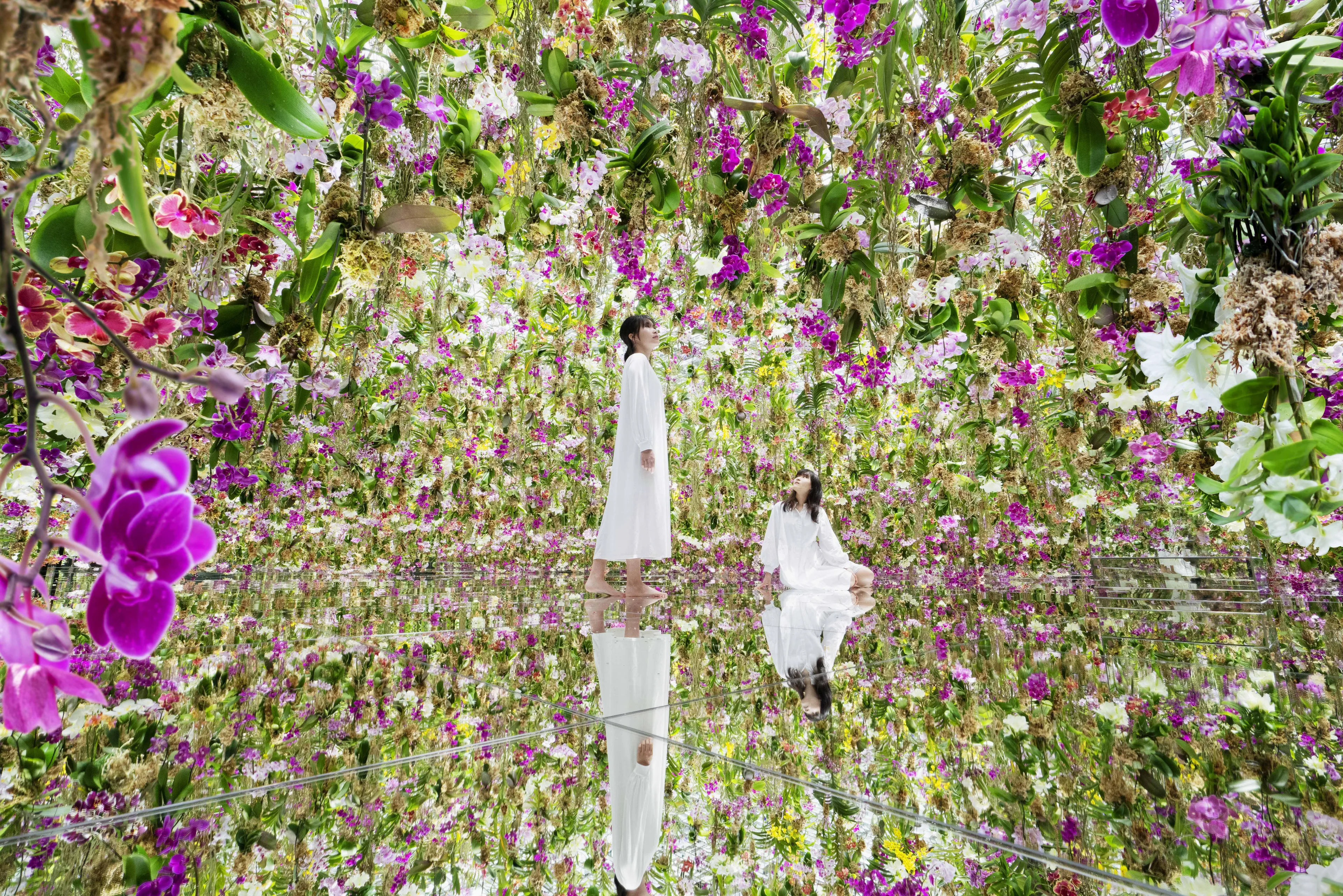 Tokyo Teamlab Planet