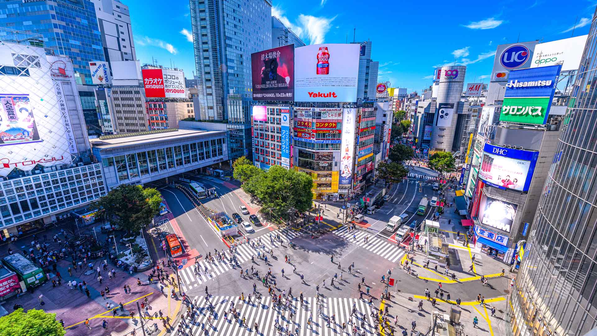 Retour à Tokyo — photo 2