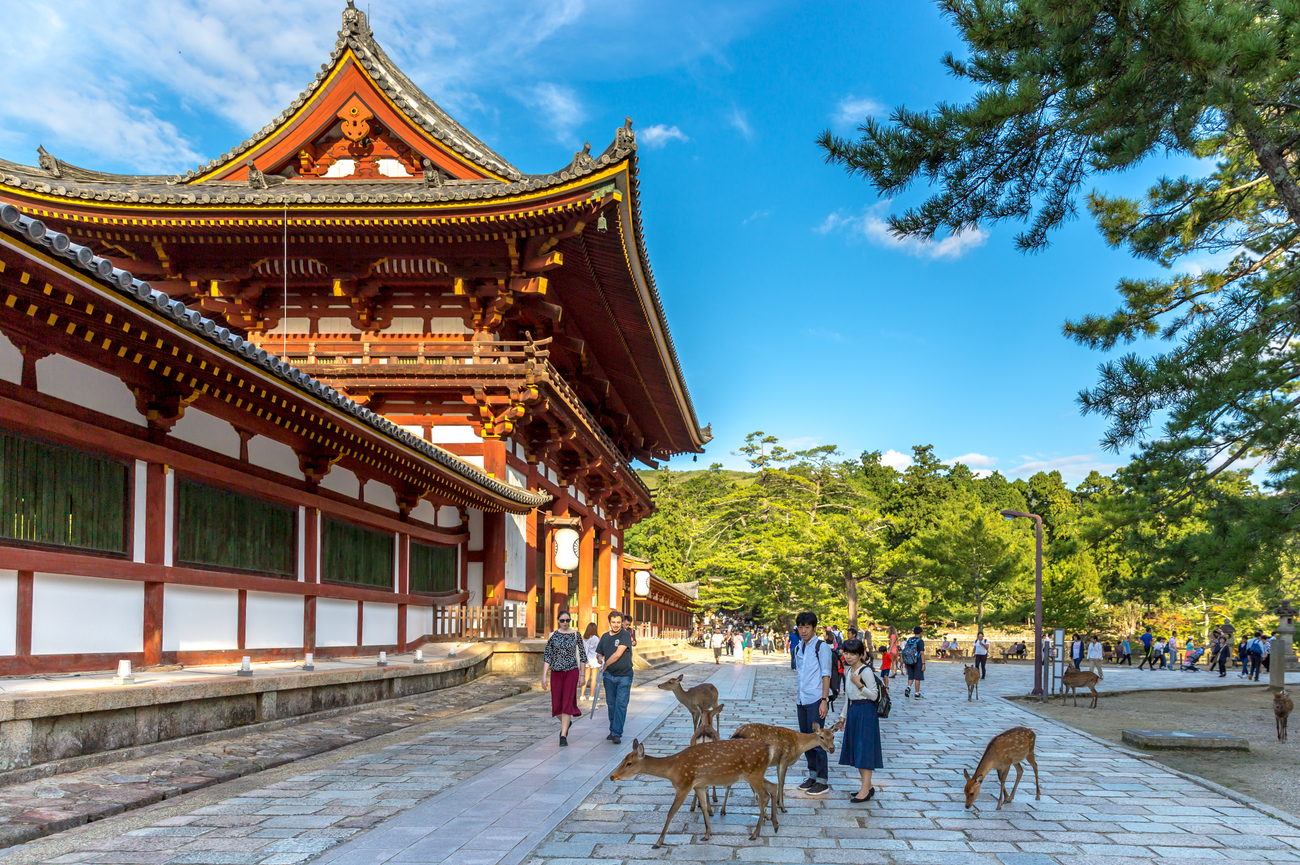 Excursion optionnelle à Nara